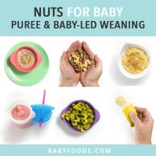 How to Introduce Nuts to Baby Recipe Page