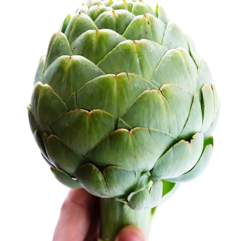 How To Steam and Eat an Artichoke Image