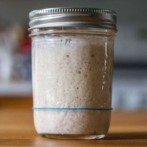 Sourdough Starter Recipe Image