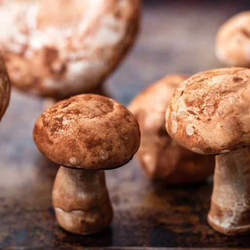 Perfect Meringue Mushrooms Recipe Image