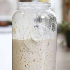 Sourdough Starter Recipe Page