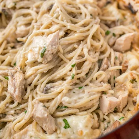 Chicken Tetrazzini Recipe Image