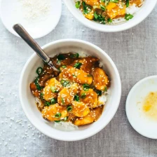 30-Minute Sesame Mango Chicken Teriyaki Recipe Page