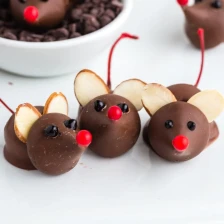 Chocolate Cherry Mice Recipe Page