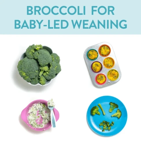 Broccoli for Baby-Led Weaning Image