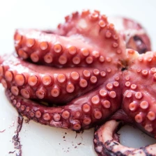 Pressure-Cooker Octopus Recipe Recipe Page