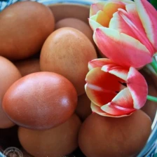 Russian Easter Eggs Recipe Page