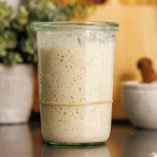 Sourdough Starter Recipe (VIDEO) Recipe Page