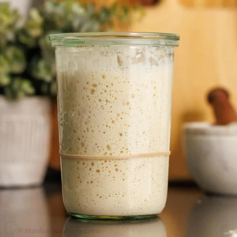 Sourdough Starter Recipe (VIDEO) Image