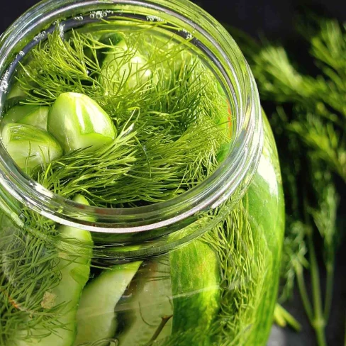 Fermented Kosher-Style Dill Pickles Image