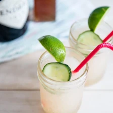 Frozen Gin and Tonic Recipe Page