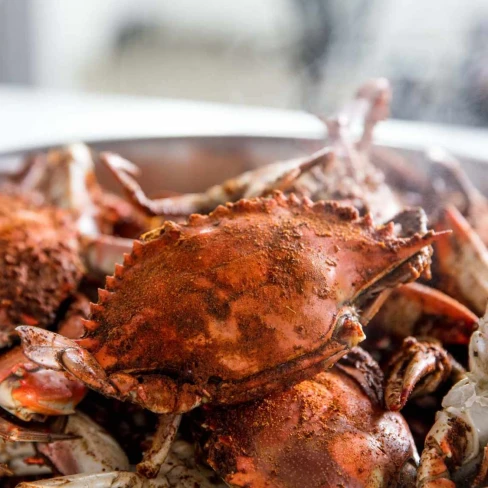 Maryland Crab Feast Recipe Image