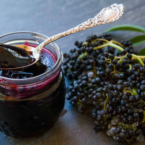 Elderberry Jelly Image