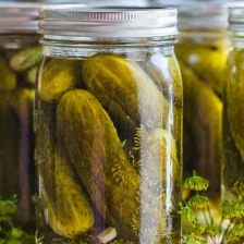 Canned Dill Pickle Recipe Recipe Page