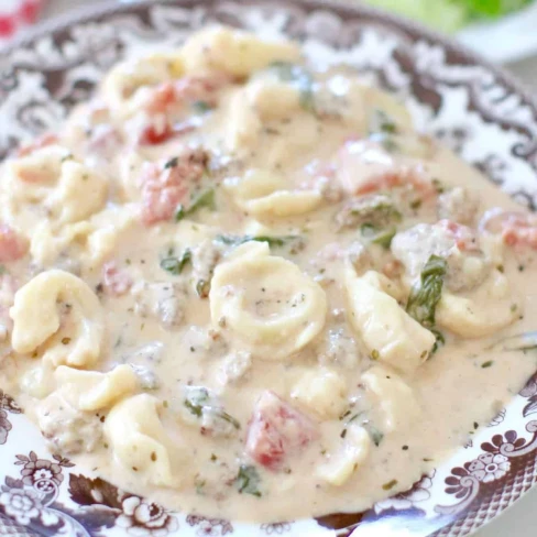 Crock Pot Creamy Tortellini Sausage Stew Image