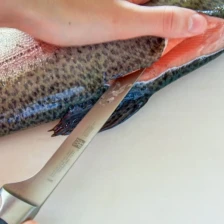 How to Fillet a Fish and a Funny Story Recipe Page