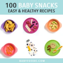 100 Healthy Snacks for Baby Recipe Page