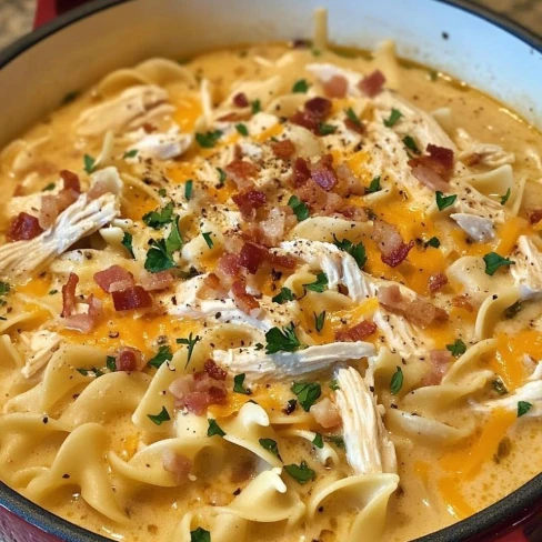 Slow Cooker Crack Chicken Noodle Soup Image