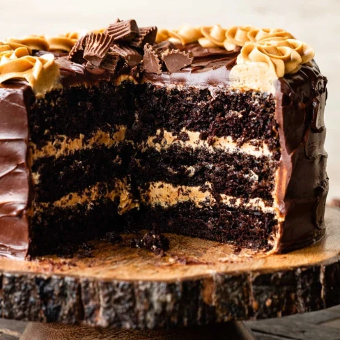 Chocolate Peanut Butter Cake Image