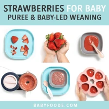 Strawberries Baby Food: Purees &amp; BLW Recipe Page