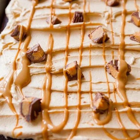 Chocolate Sheet Cake with Creamy Peanut Butter Frosting Image