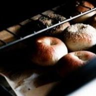 New York-Style Bagel Recipe Recipe Page