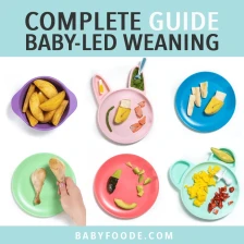 Complete Guide to Baby-Led Weaning: 10 Starter Foods Recipe Page