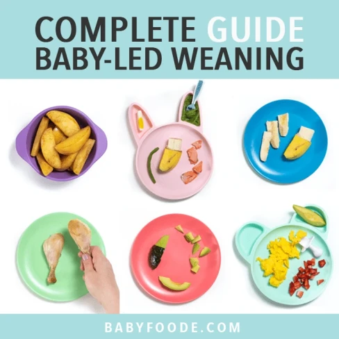 Complete Guide to Baby-Led Weaning: 10 Starter Foods Image