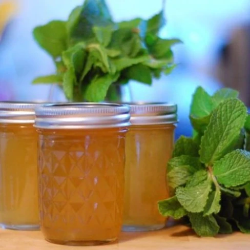 Classic Mint Jelly Recipe Image