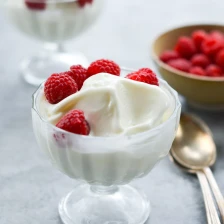 Tart Frozen Yogurt Recipe Page