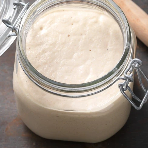 Gluten-Free Sourdough Starter Image