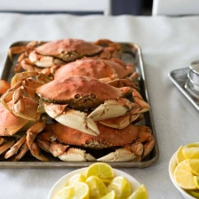 How to Cook Dungeness Crab Recipe Page