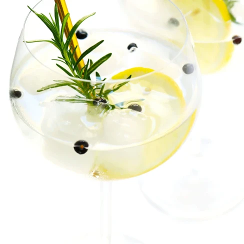 Spanish Gin Tonic Image