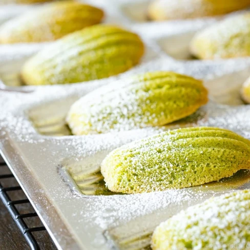 Matcha Madeleines Image