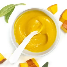 Pumpkin Baby Puree Recipe Page