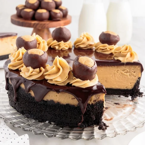 Chocolate Peanut Butter Cheesecake Image