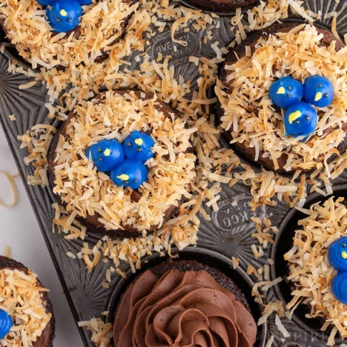 Bird Nest Cupcakes Image