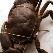 How to clean and cut a whole crab Recipe Page