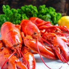 How To Cook Live Lobster Recipe Page