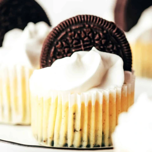 Mini Oreo Cheesecakes Image