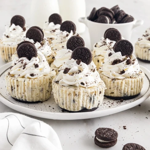 Mini Oreo Cheesecake Image