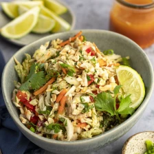 Vietnamese Shredded Chicken Salad Recipe Page