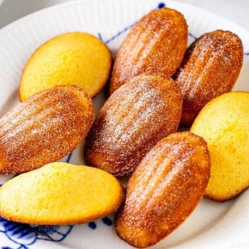 Madeleines Image