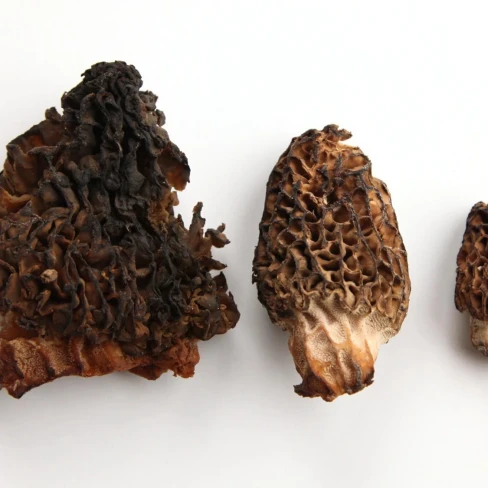 Sautéed Morel Mushrooms Image