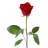 Original Website Recipe Url